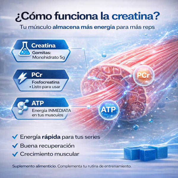 Gomitas De Creatina | 🍑Aumenta Tus Glúteos-   💪 Más fuerza en tus entrenamientos  🍑 Desarrollo glúteo acelerado y visible  ⚡ Energía real durante todo el día  🔄 Recuperación muscular más rápida