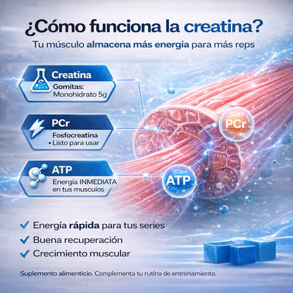 Gomitas De Creatina | 🍑Aumenta Tus Glúteos-   💪 Más fuerza en tus entrenamientos  🍑 Desarrollo glúteo acelerado y visible  ⚡ Energía real durante todo el día  🔄 Recuperación muscular más rápida